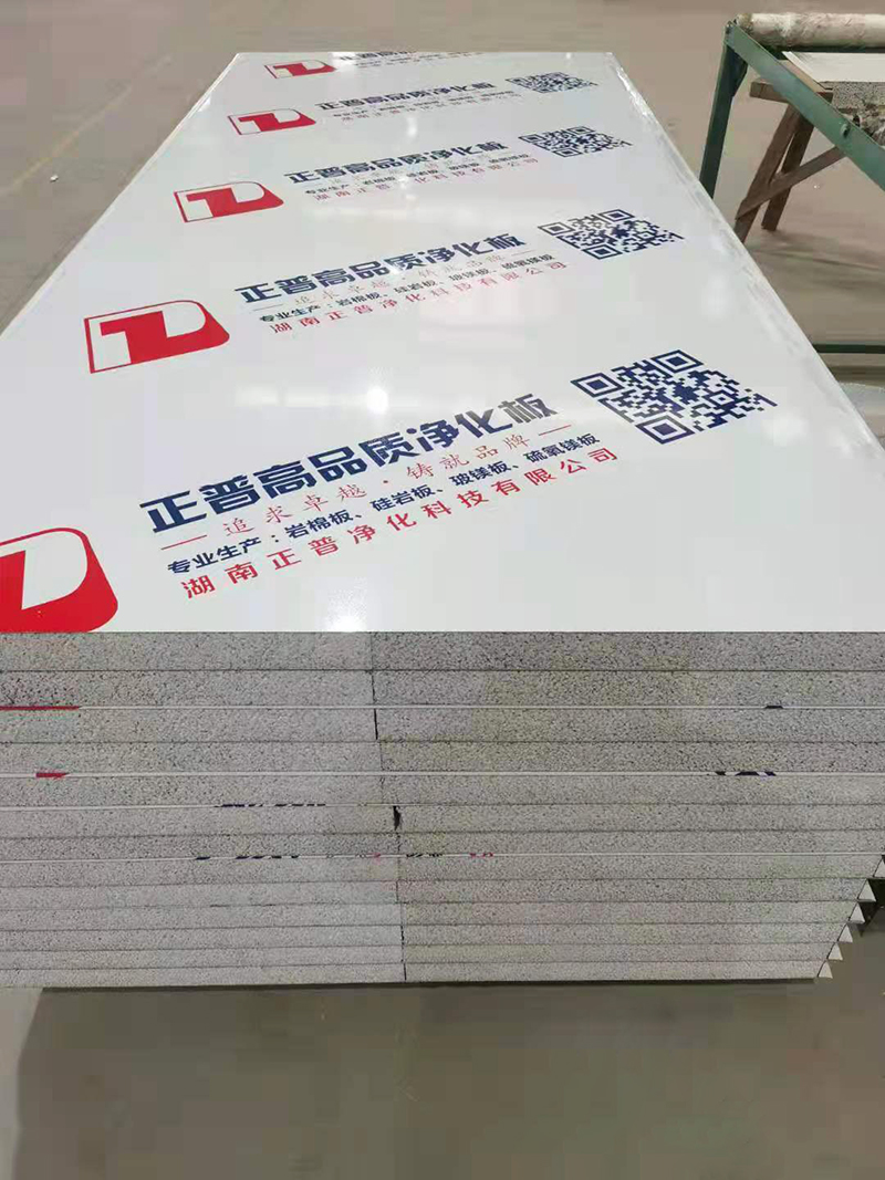 岩棉玻镁夹芯板,雷速网页版-雷速leisu（中国）材
